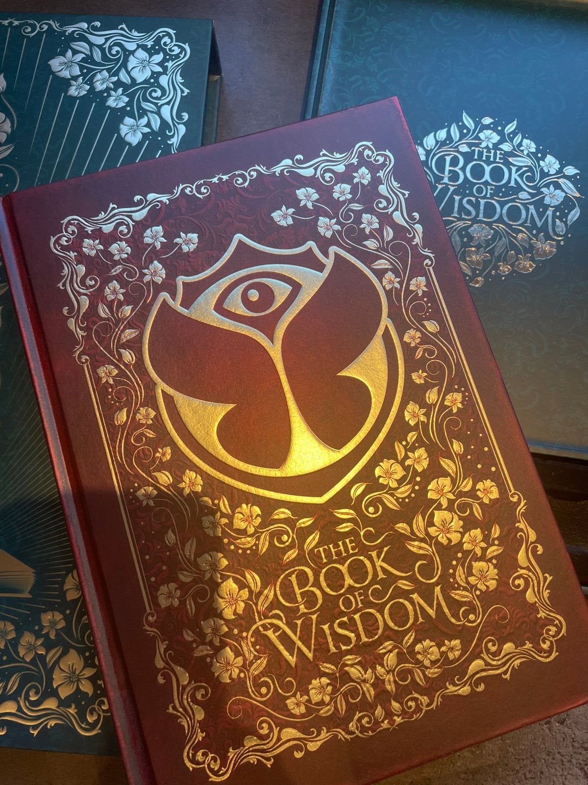 The book of wisdom Tomorrowland, Ophalen, Zo goed als nieuw