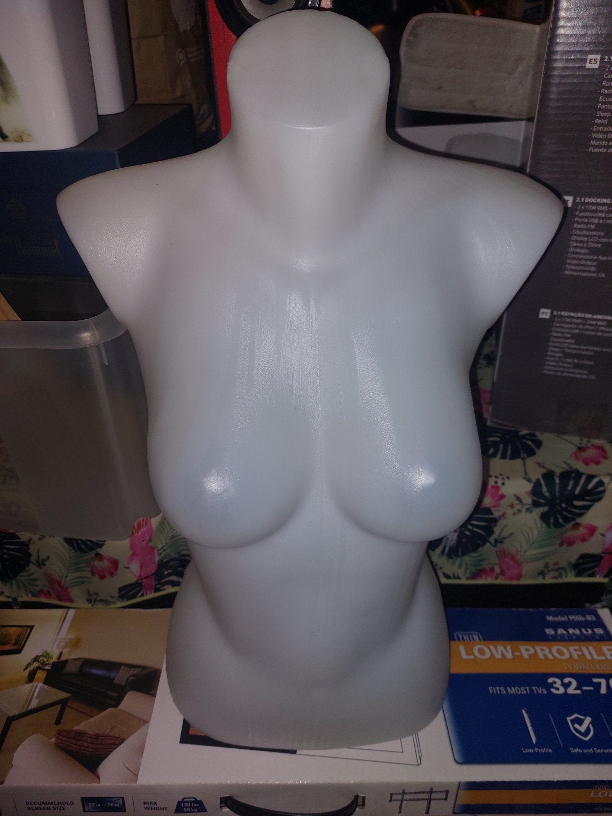 buste paspop plastic vrouw, Hobby en Vrije tijd, Ophalen, Paspop