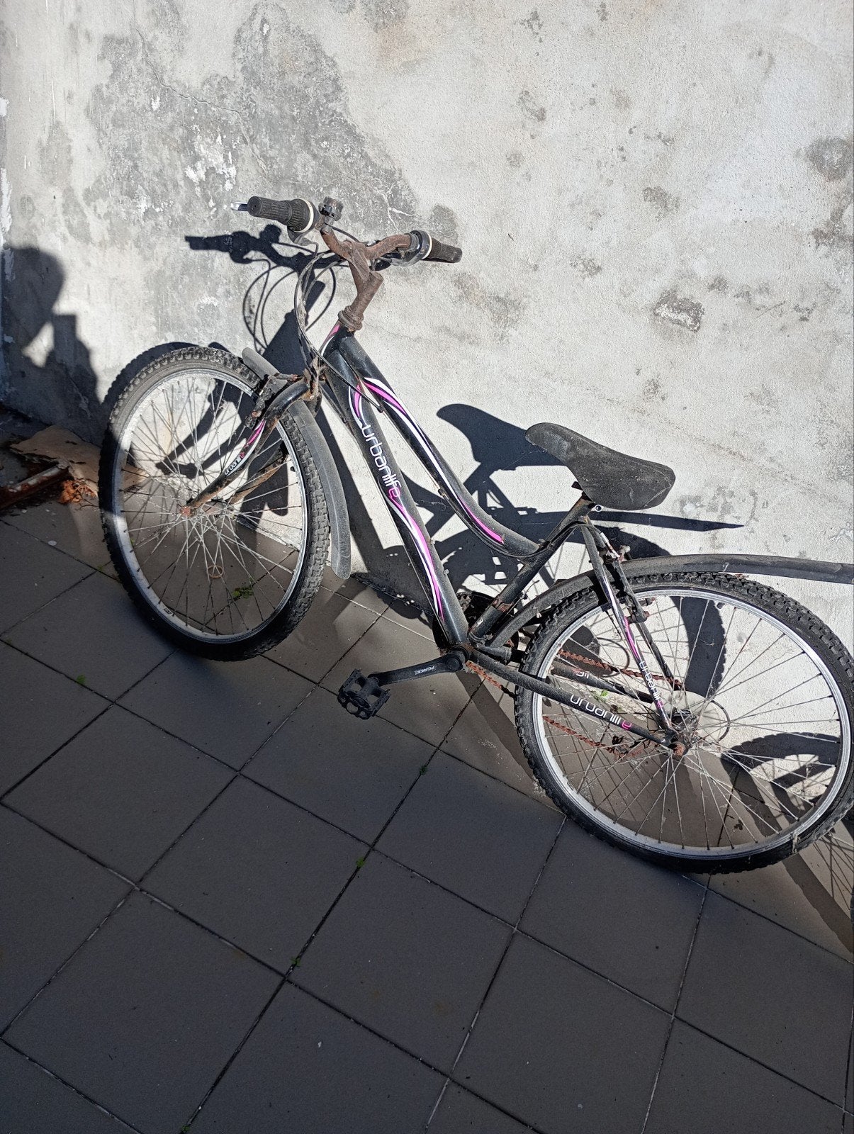 Meisjes fietsen, Fietsen en Brommers, Ophalen