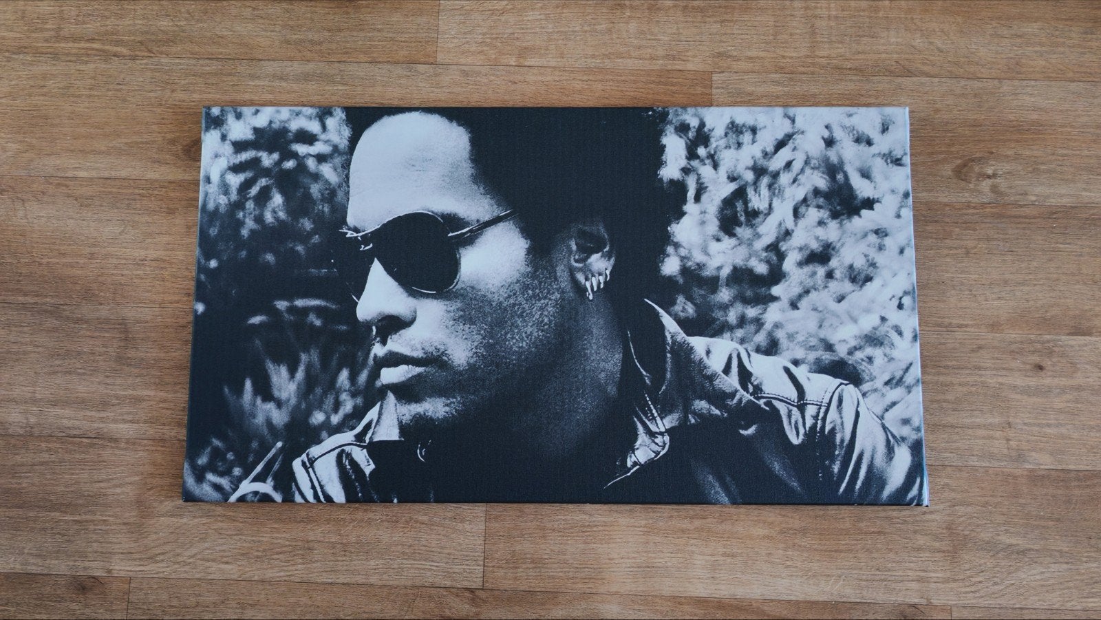 Toile Lenny Kravitz, Enlèvement