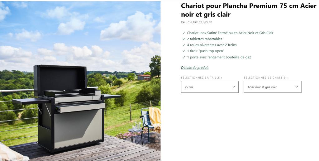 Plancha Forge adour complète + housse + charriot, Tuin en Terras, Gasbarbecues, Ophalen, Zo goed als nieuw, Autre marque