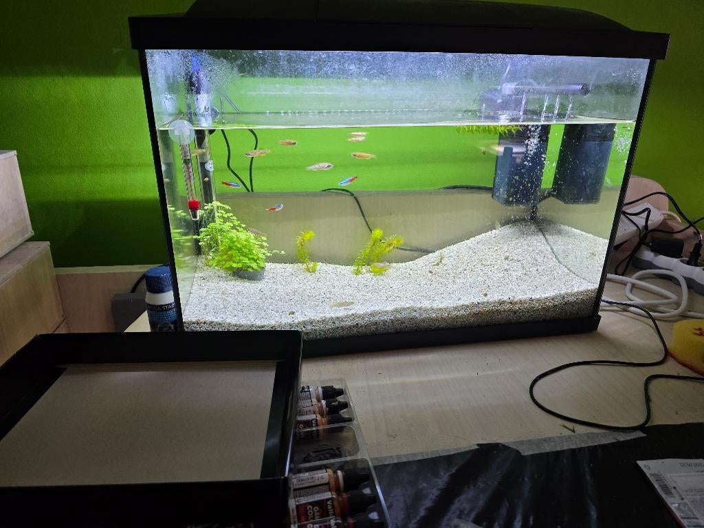 Een simpel volledig aquarium met vissen, Ophalen, Overige merken, Inclusief vissen, Gevuld zoetwateraquarium