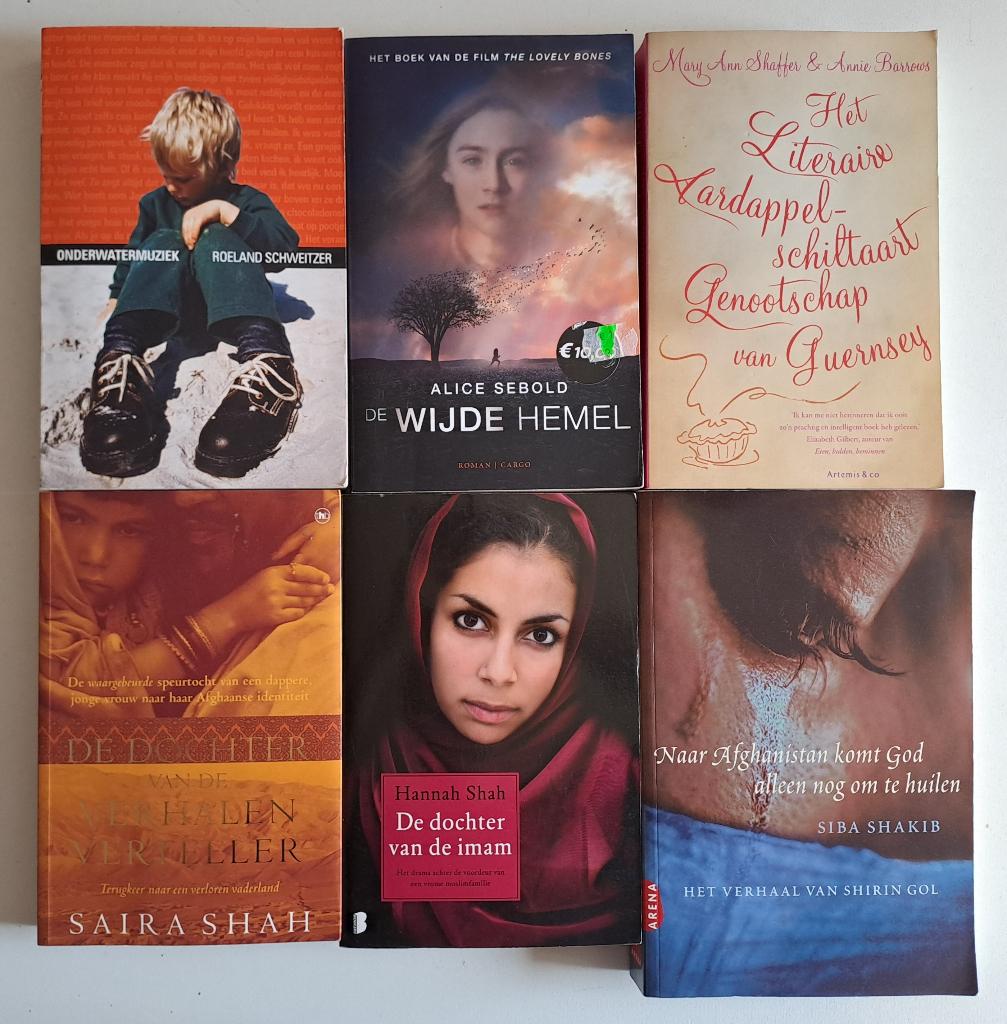 Romans & Literatuur (4), Boeken, Ophalen of Verzenden, Gelezen