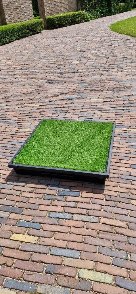 Petsafe hondentoilet, Dieren en Toebehoren, Honden-accessoires, Ophalen, Gebruikt