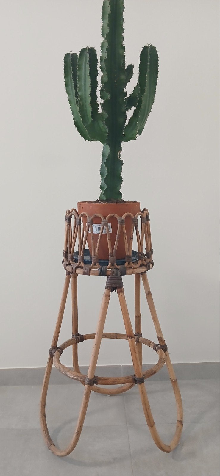 Mooie vintage plantenstandaard rotan, Ophalen, Zo goed als nieuw, Overige typen, Natuurlijk materiaal
