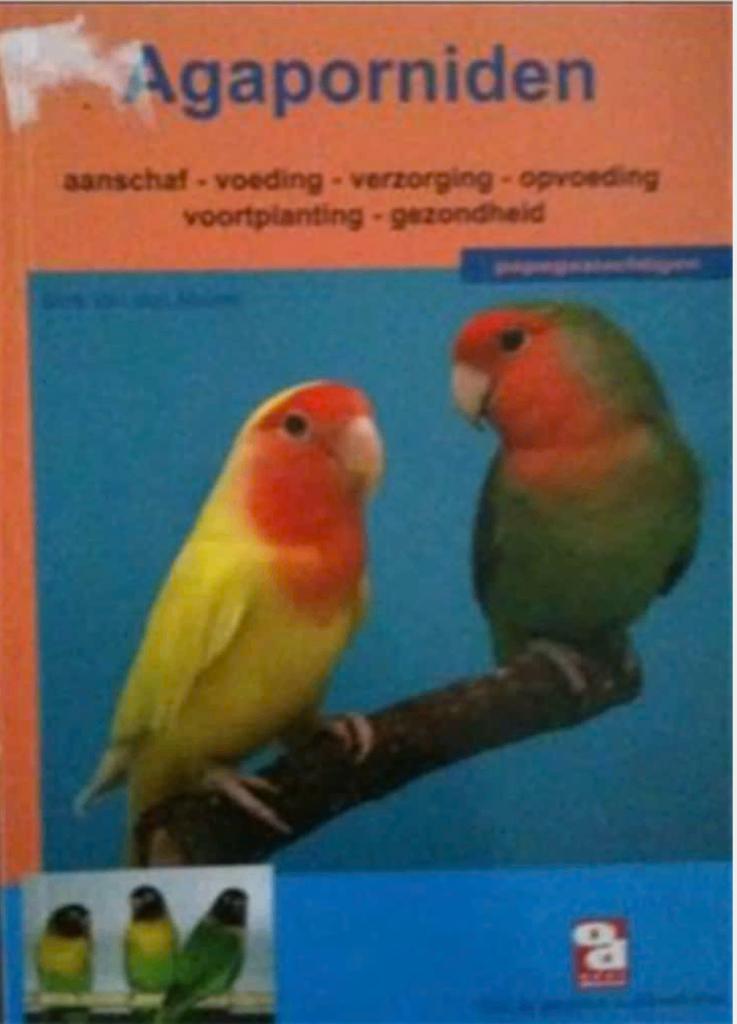 Agaporniden, Dirk Van Den Abeele, Boeken, Dieren en Huisdieren, Ophalen of Verzenden, Vogels