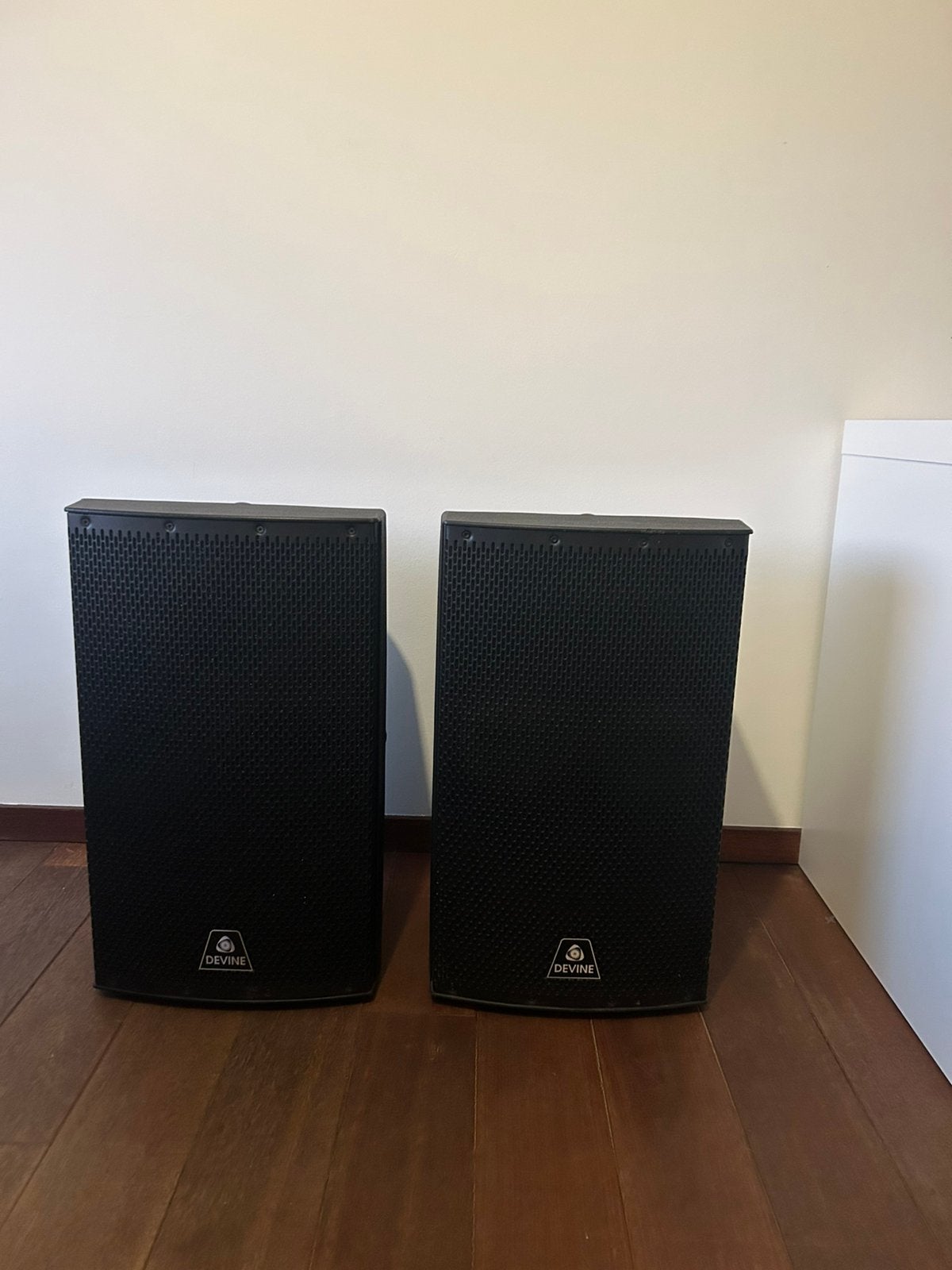 2x devine onyx 12a, Audio, Tv en Foto, Inclusief kabels, Party speaker, Ophalen of Verzenden, Zo goed als nieuw