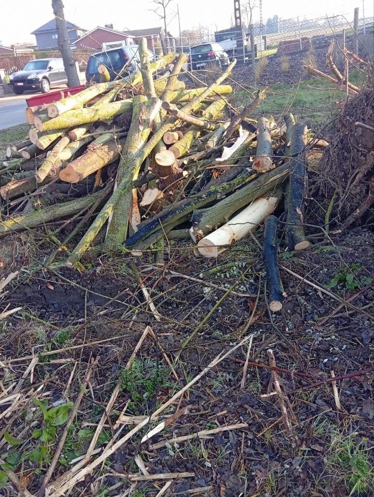 Brandhout te koop, Diversen, Ophalen