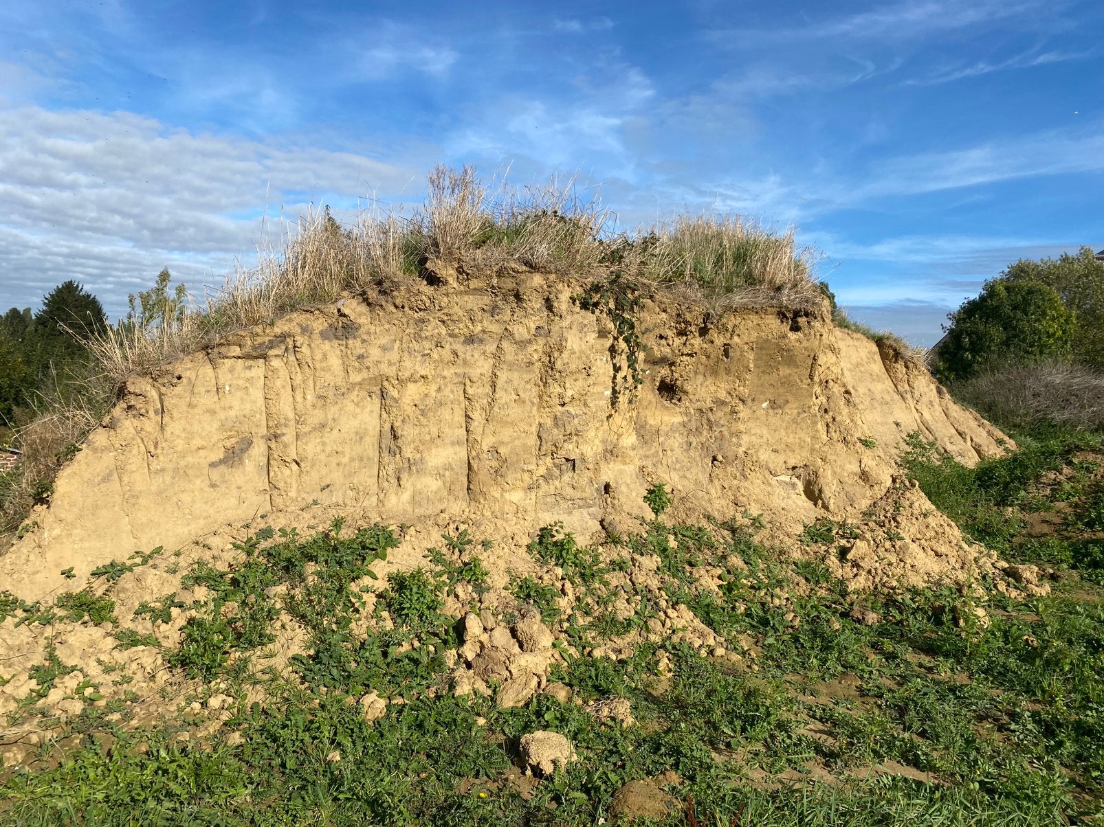 Terres de prairie à donner sur Oreye, Jardin & Terrasse, Enlèvement