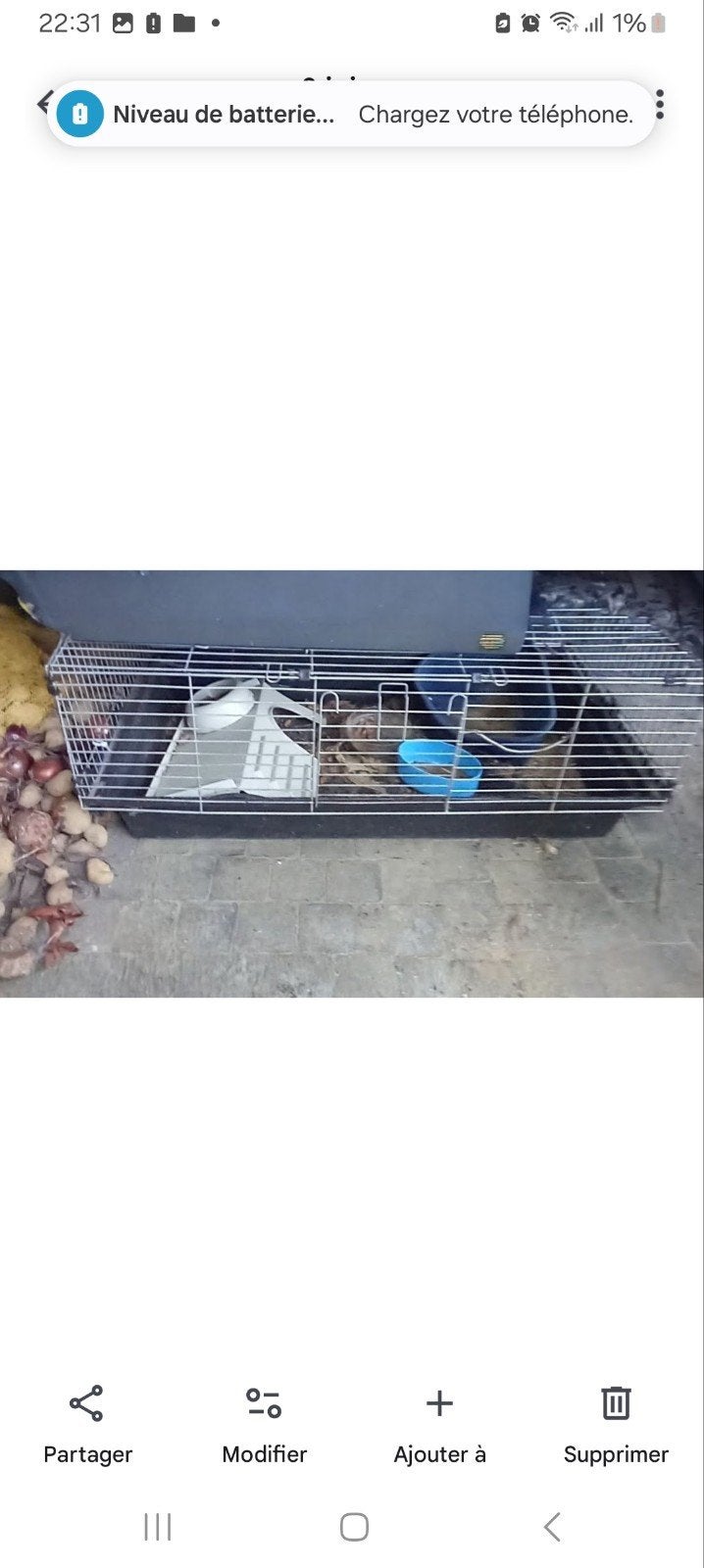 Grande Cage Lapin, Enlèvement ou Envoi, Cage, Lapin