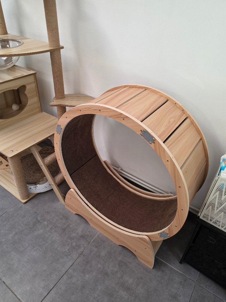 Roue pour chat / à Merchtem, Animaux & Accessoires, Jouets pour chats, Comme neuf, Autres jouets, Enlèvement