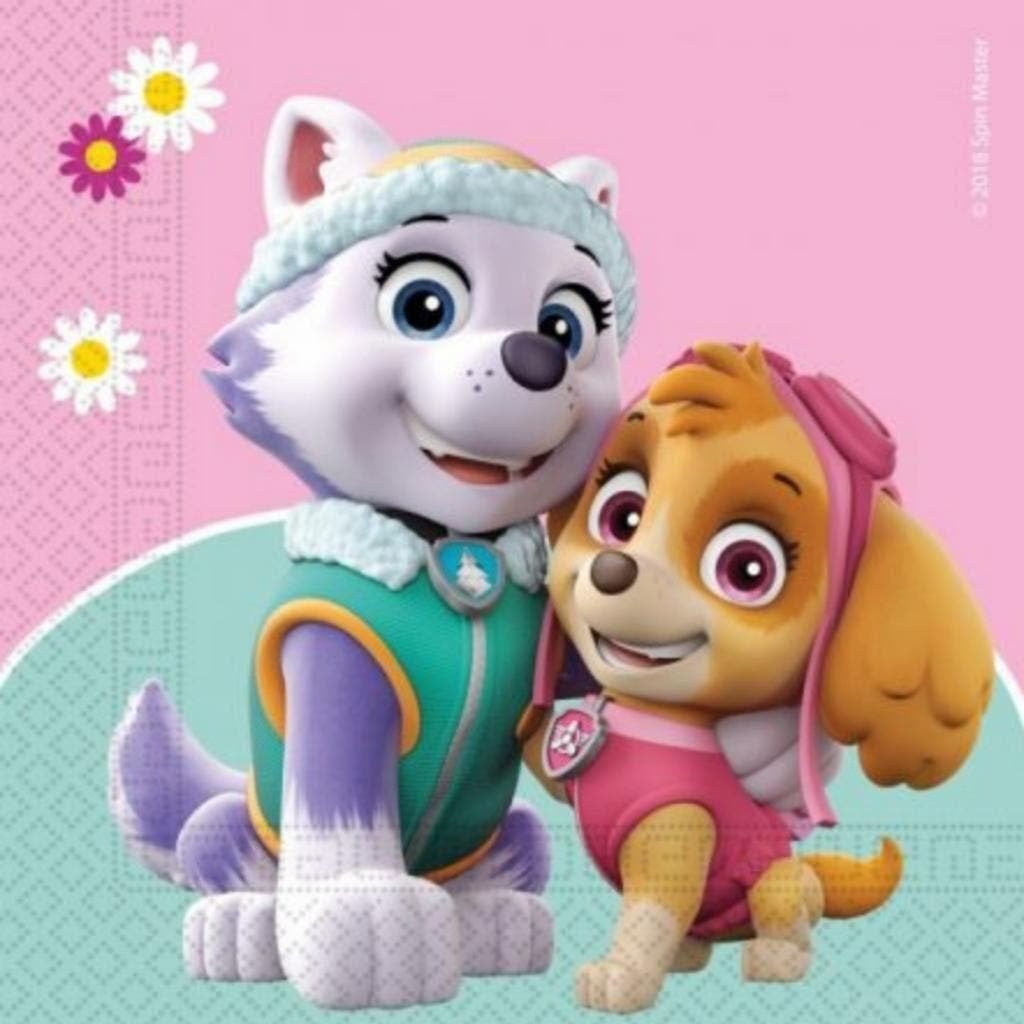 Paw Patrol Meisjes Feestartikelen / Versiering / Verjaardag, Ophalen of Verzenden, Nieuw, Feestartikel