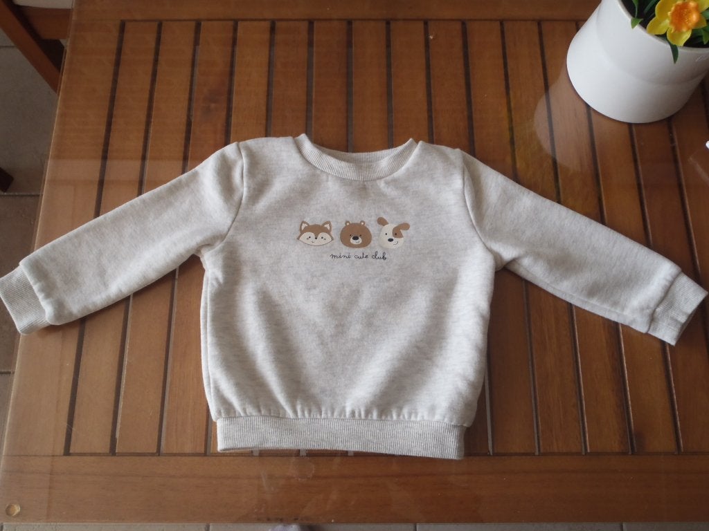 trui maat 74, Kinderen en Baby's, Babykleding | Maat 74, Ophalen of Verzenden, Zo goed als nieuw, Jongetje, Truitje of Vestje