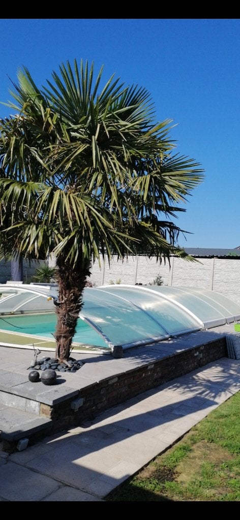Abri piscine, Jardin & Terrasse, Accessoires de piscine, Utilisé, Couverture de piscine, Enlèvement
