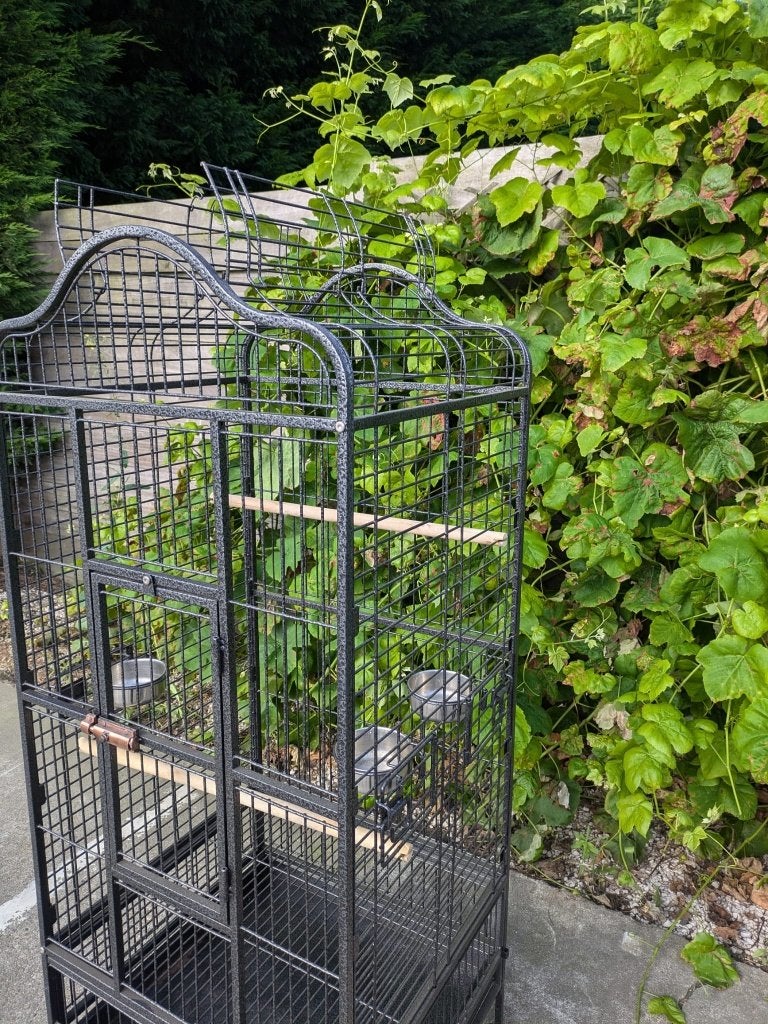 JOURS DE SHOPPING - PERROQUET - CAGE À PERROQUET - NOUVEAU, Animaux & Accessoires, Oiseaux | Cages & Volières, Enlèvement