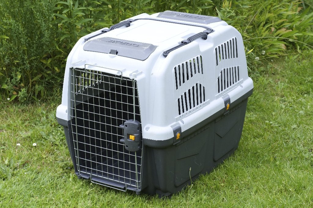 Transport bench voor hond, Merk Solognac, Maat Large, Ophalen, Gebruikt