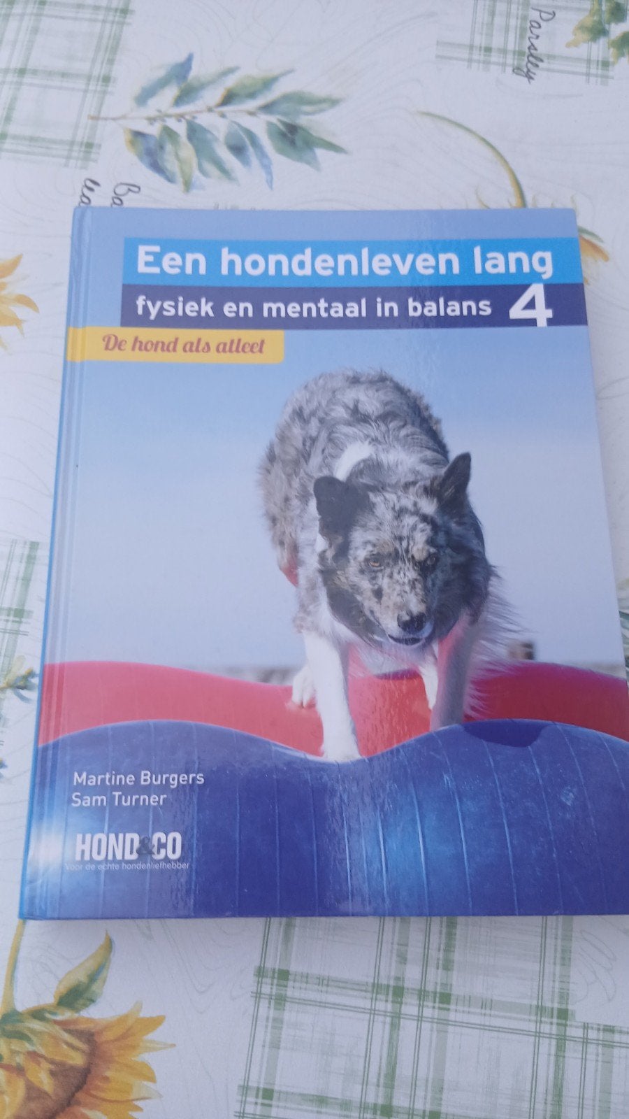Martine Burgers - De hond als atleet, Livres, Animaux & Animaux domestiques, Enlèvement ou Envoi, Comme neuf, Martine Burgers; Sam Turner