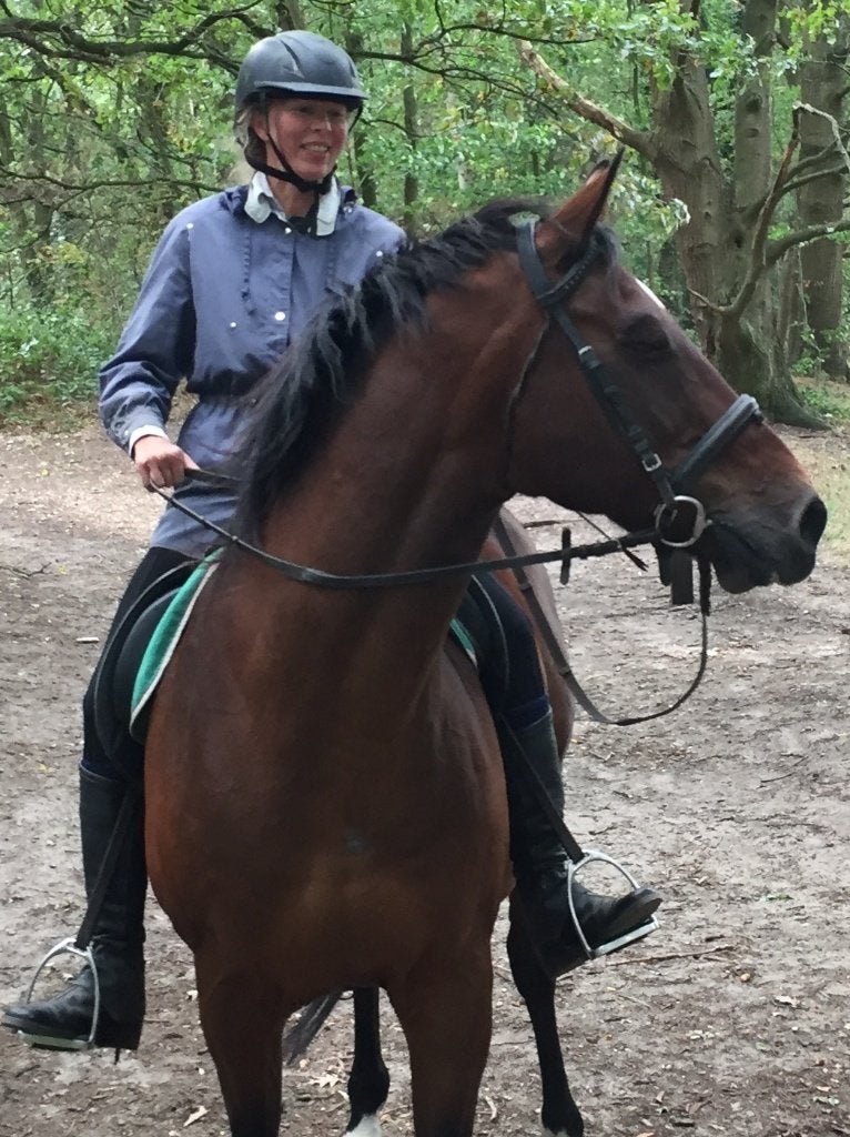 Paarden buddy, Dieren en Toebehoren, Paarden en Pony's | Overige Paardenspullen, Ophalen of Verzenden, Gebruikt, Recreatie
