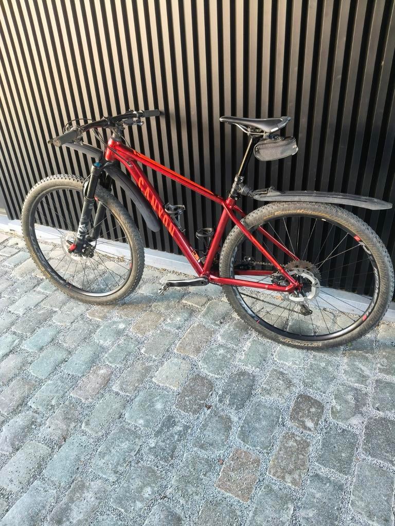 Mountainbike rood cannon, Gebruikt, Hardtail, Heren, 53 tot 57 cm