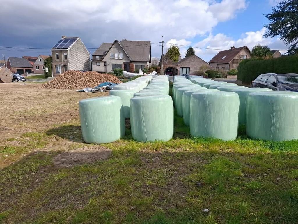 Grote pakken voeder Mais TE KOOP ook voeder bieten NINOVE