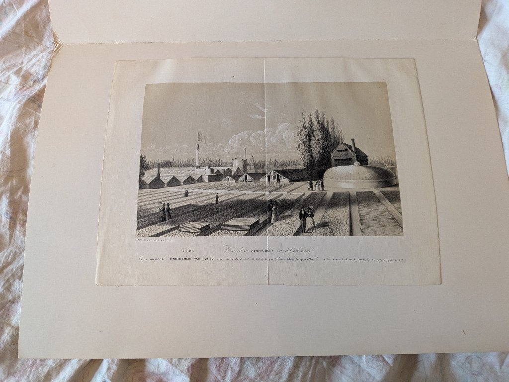 19de eeuwse tekening bloemisterij Van Hautte, Ophalen of Verzenden