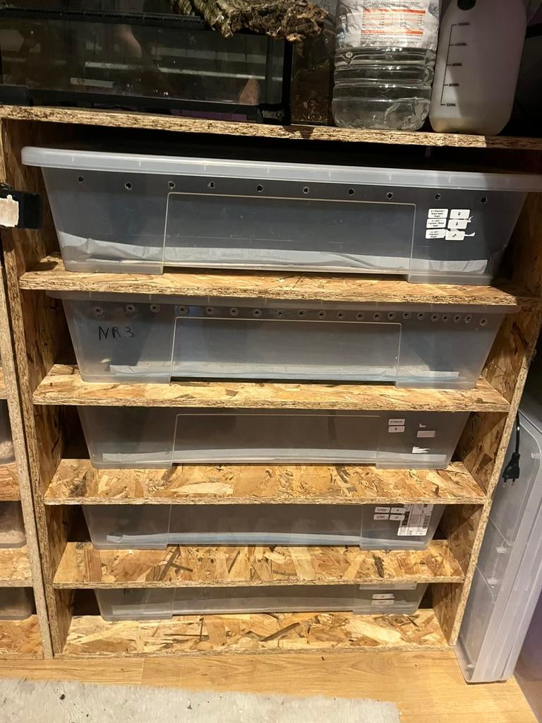 Rack osb pour python, Dieren en Toebehoren, Ophalen, Zo goed als nieuw, Terrarium of Paludarium