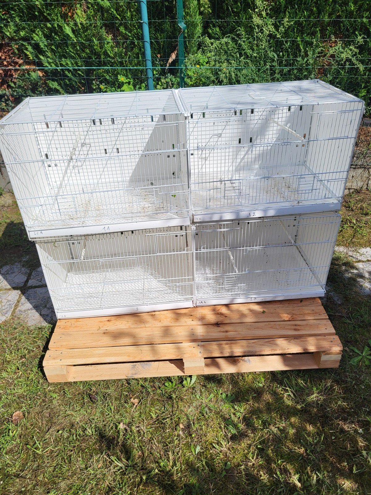 cage 120cm et 60 cm, Ophalen