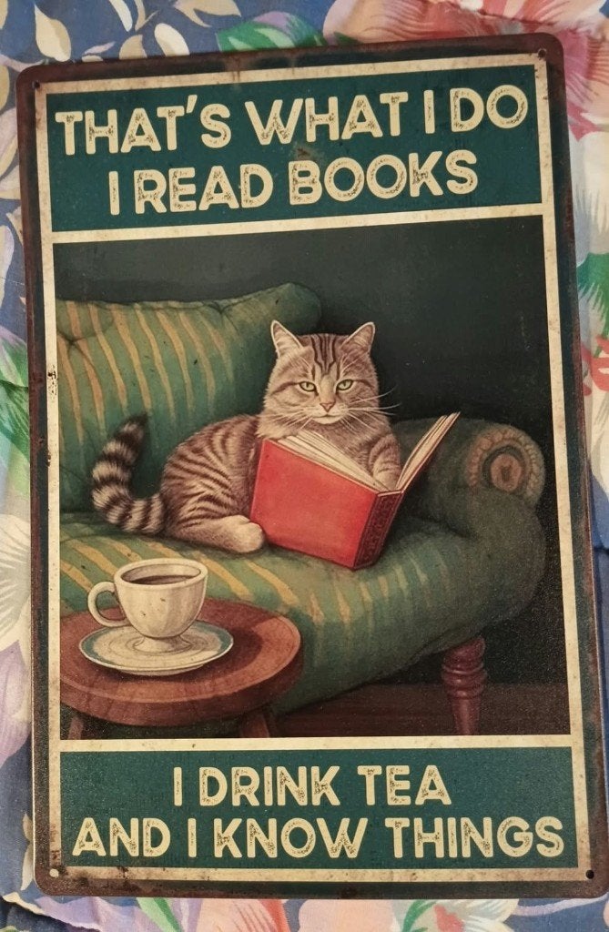 metalen bord van kat met boek, Ophalen of Verzenden