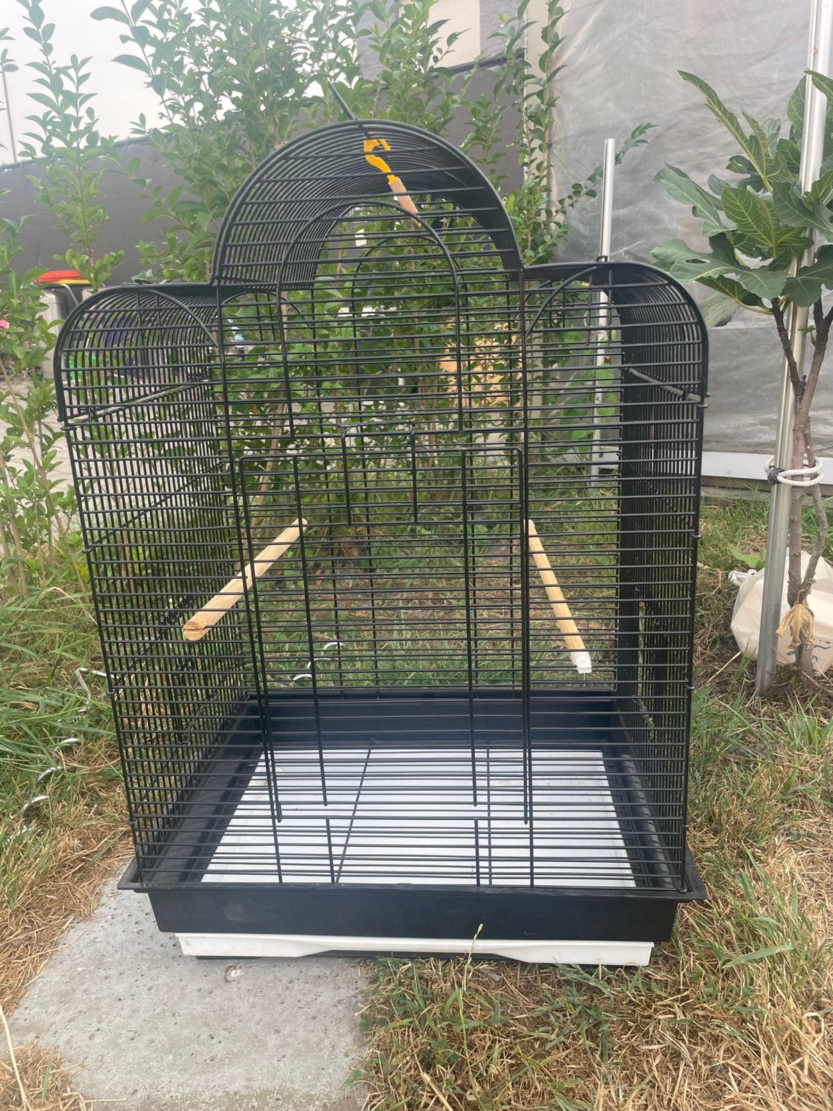 Vogelkooien, Ophalen