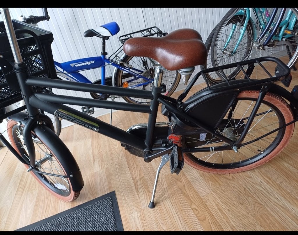 Jongens fiets, Ophalen, Terugtraprem, Popal, 20 inch