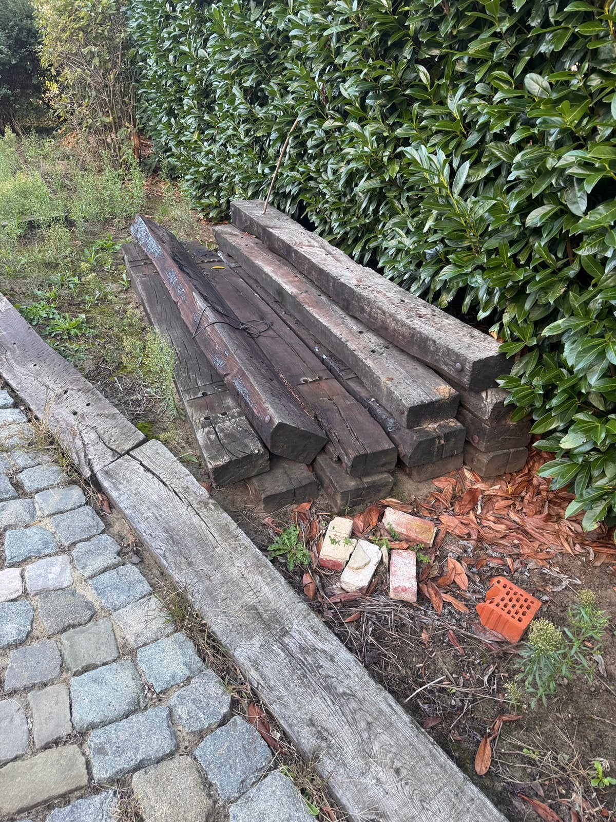 Treinbielzen, Bois dur, Enlèvement, Utilisé, 180 à 250 cm