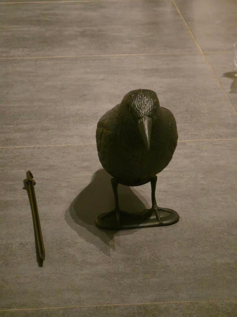Épouvantail - Corbeau, Enlèvement ou Envoi