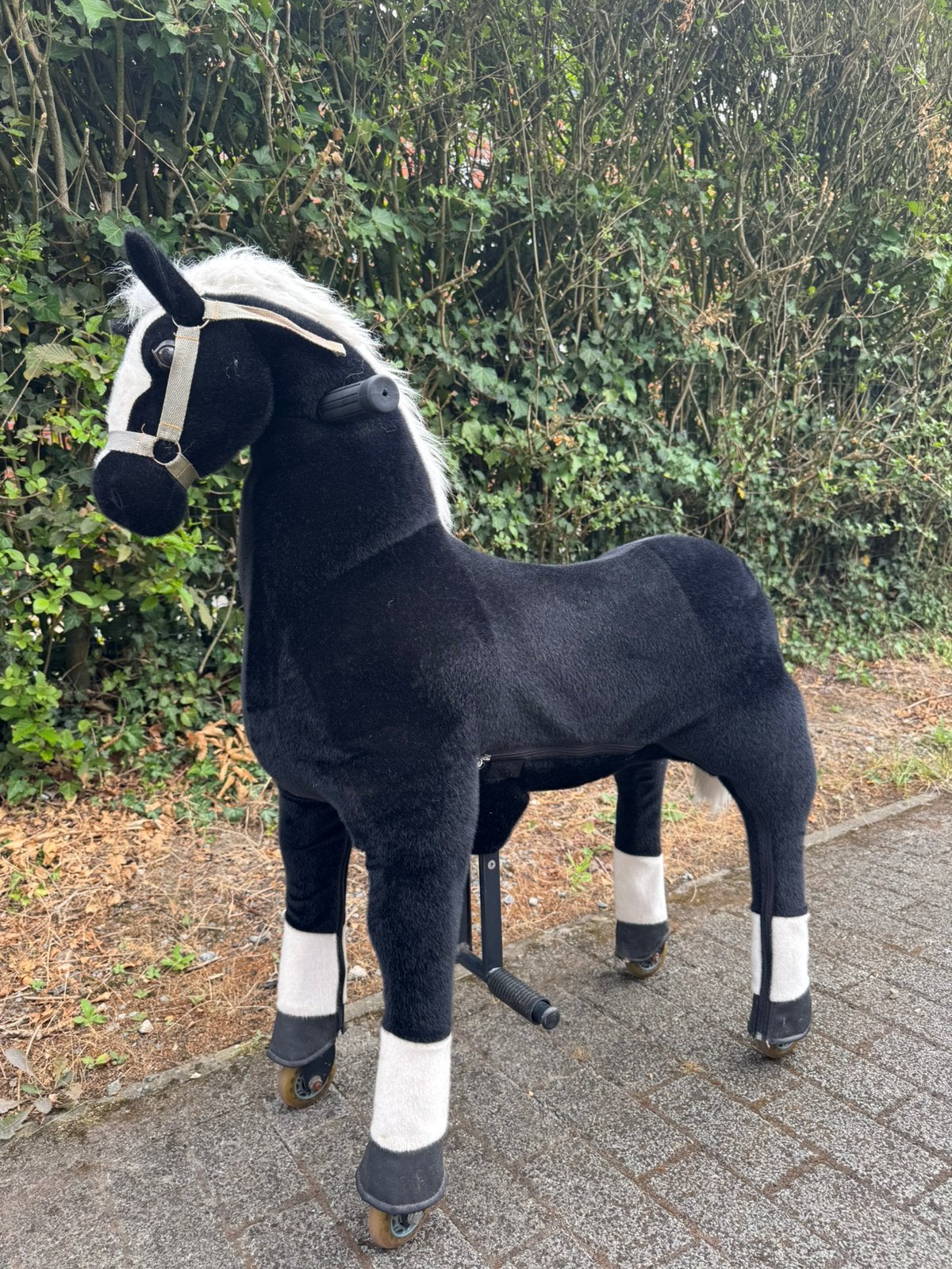 Grand poney d'équitation (100 cm)