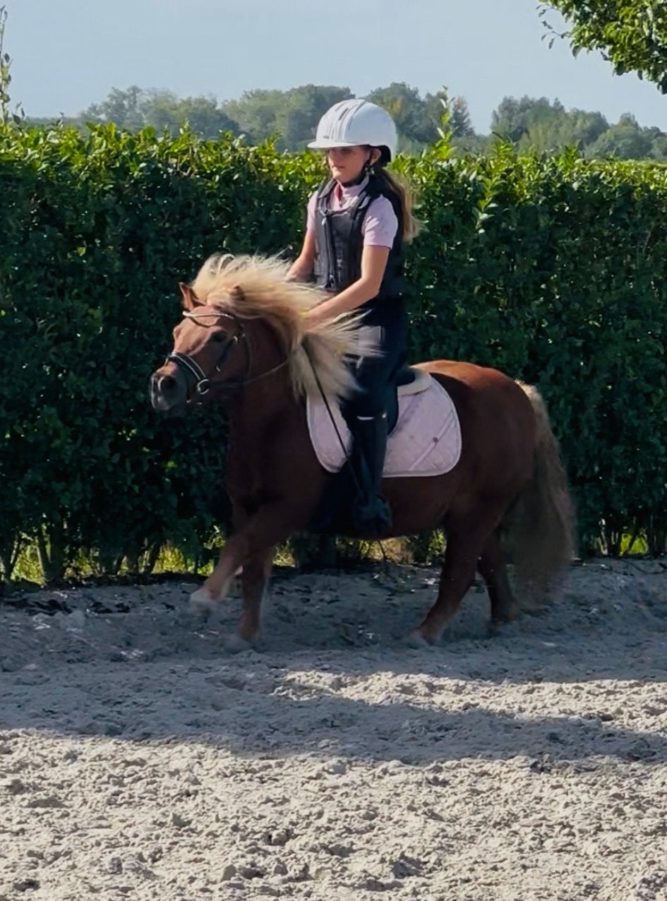 Super lieve en schattige kinder shet, Avec puce électronique, 11 ans ou plus, Hongre, Débourré