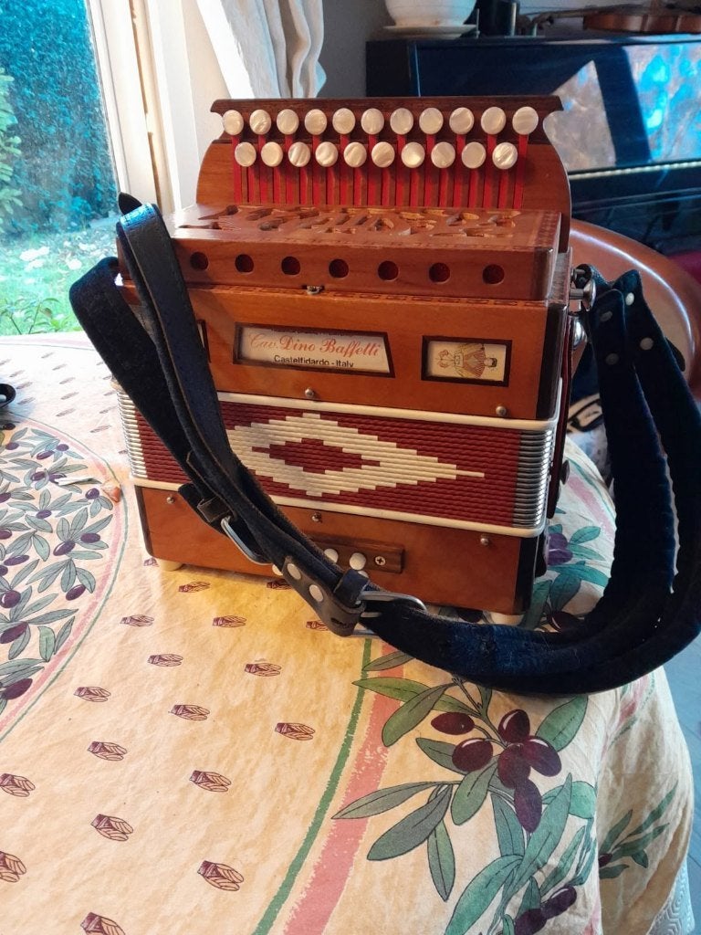 Accordéon diatonique Sol/Do Dino Baffetti, Musique & Instruments, Accordéons, Neuf, Autres marques, Autres formats, Avec valise
