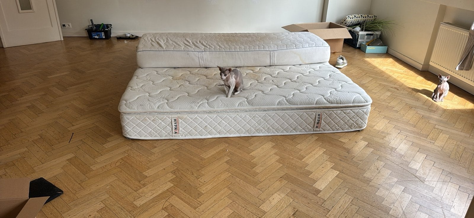 Matelas 160 et 180 cm a donner urgent, Maison & Meubles, Matelas, Enlèvement, Utilisé, 180 cm
