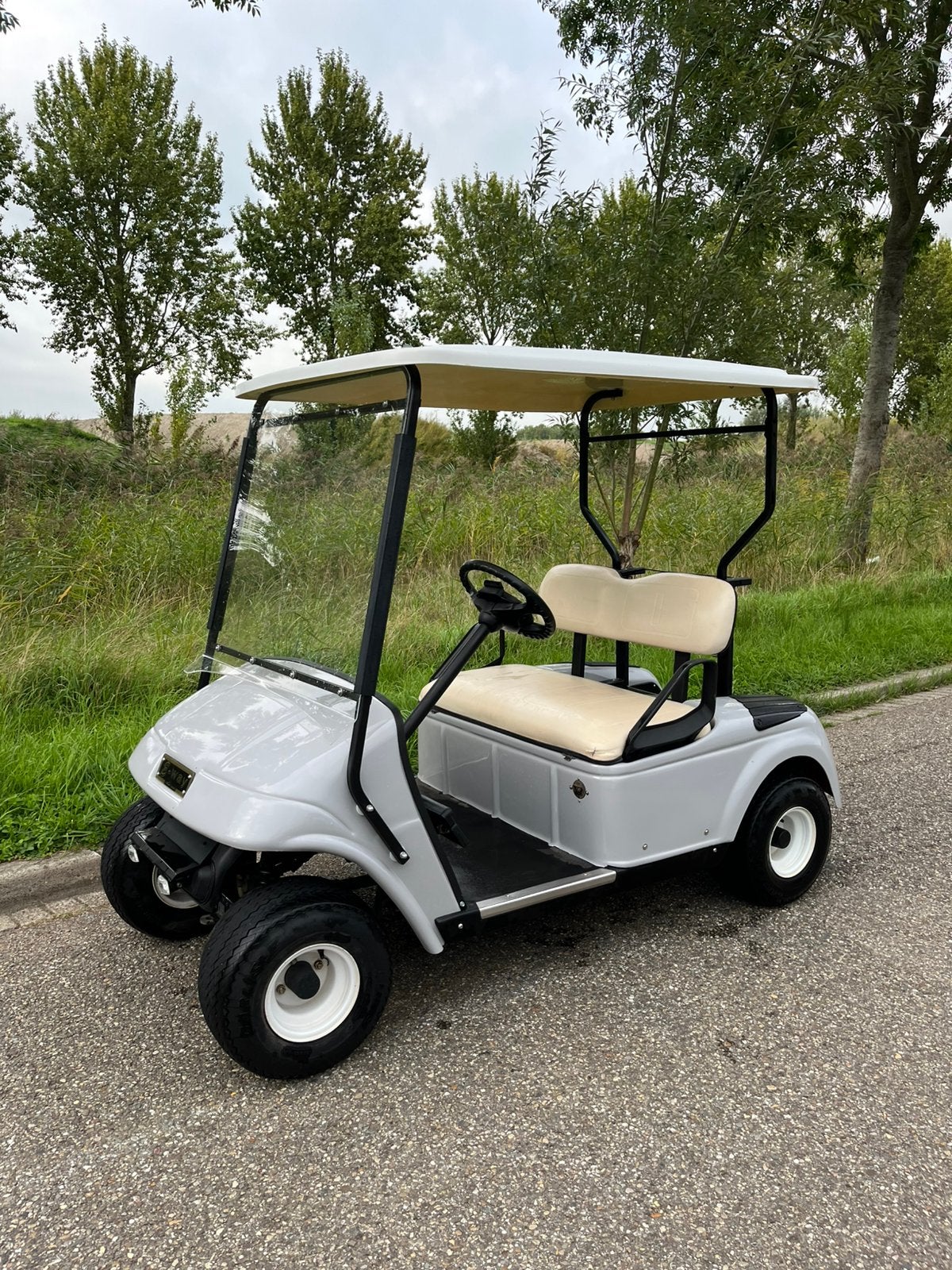 Electrische golfkar in prachtige conditie rijdt heerlijk, Ophalen of Verzenden, Zo goed als nieuw, Golfkar