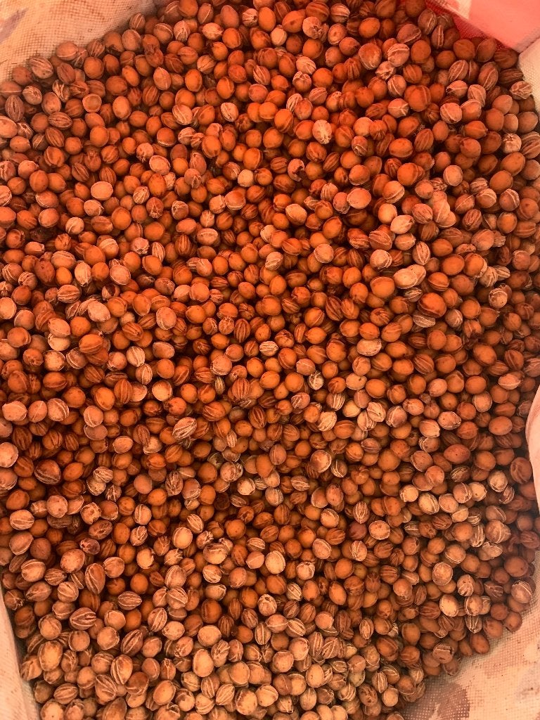 Kersenpitten 8kg, Divers, Emballage cadeau, Enlèvement, Neuf