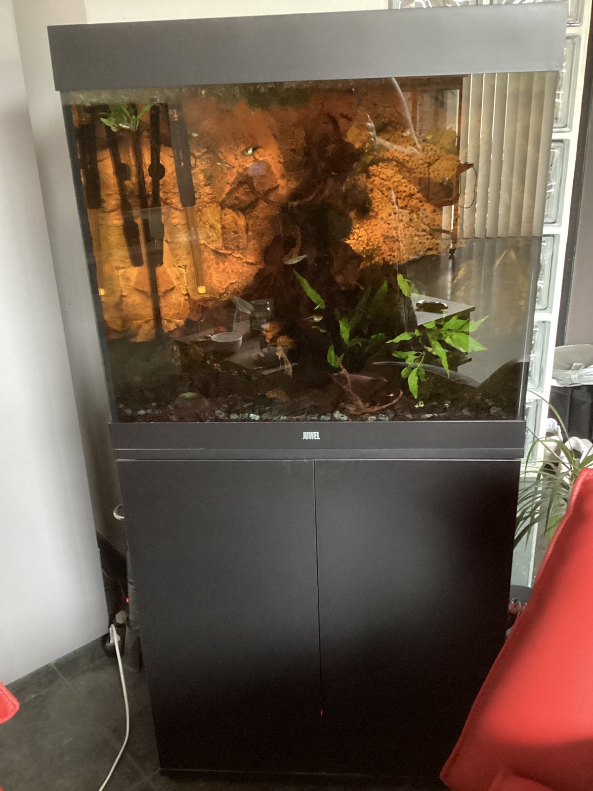 Aquarium juwel 200, Animaux & Accessoires, Comme neuf, Enlèvement, Juwel, Aquarium d'eau douce rempli