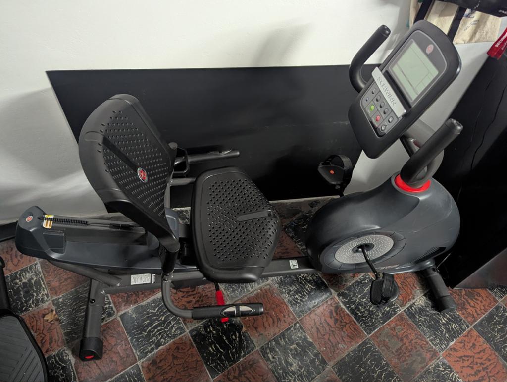 Schwinn 510R Recumbent Bike, Ophalen, Rug