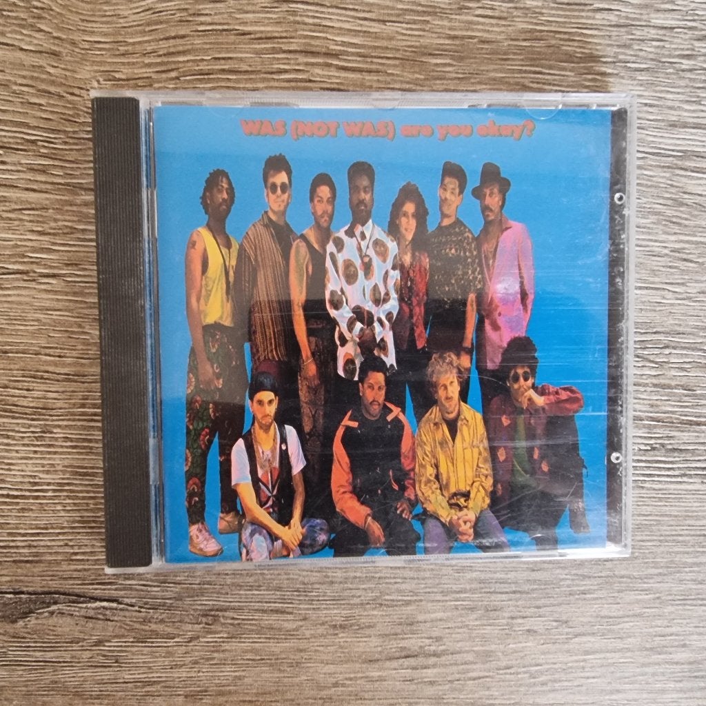 CD Was (Not Was) – Are You Okay?, Ophalen of Verzenden, Gebruikt, Album