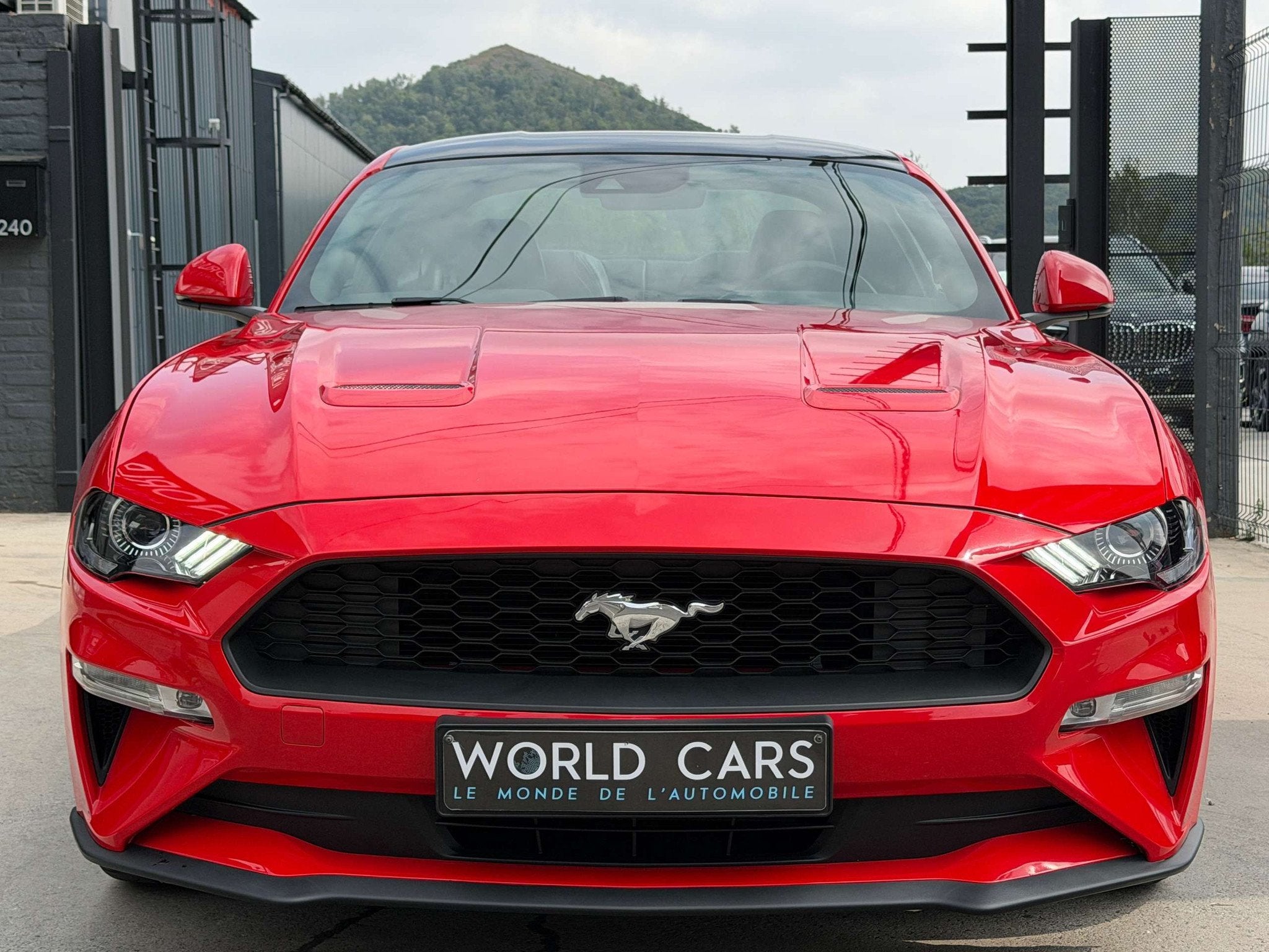 Ford Mustang Mustang 2.3 EcoBoost - NAVIGATION - CAMERA - CR, Auto's, 4 zetels, Achterwielaandrijving, 4 cilinders, Bedrijf