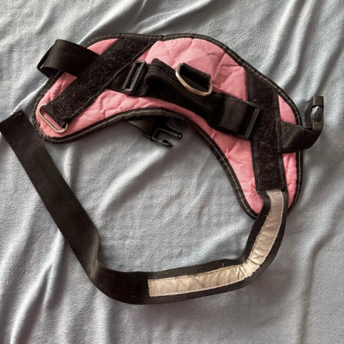 pink medium dog collar harness leash size M, Animaux & Accessoires, Laisses pour chiens, Enlèvement, Comme neuf