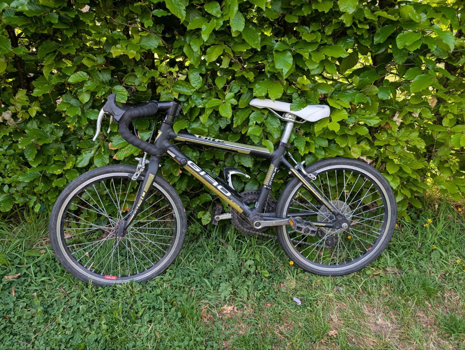 Racefiets kind., Enlèvement