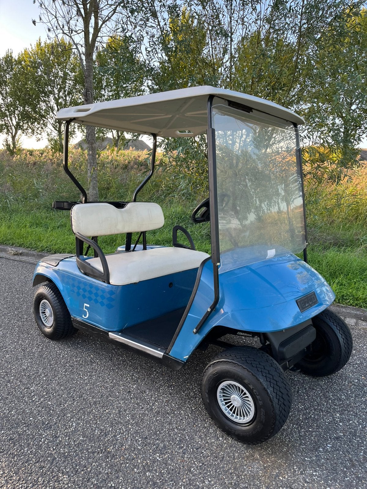 Electrische golfkar met bijna nieuwe batterijen, Ophalen of Verzenden, Zo goed als nieuw, Golfkar