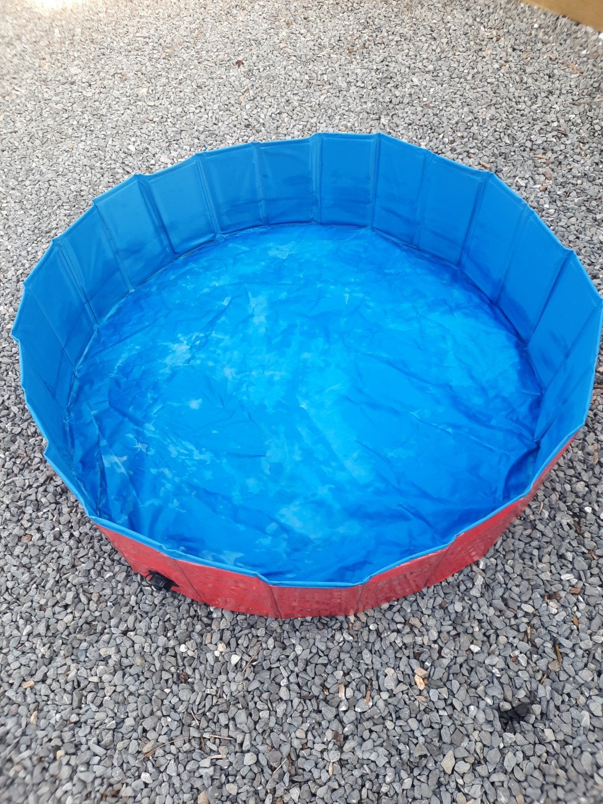 piscine pour chiens bleu-rouge à vendre., Enlèvement