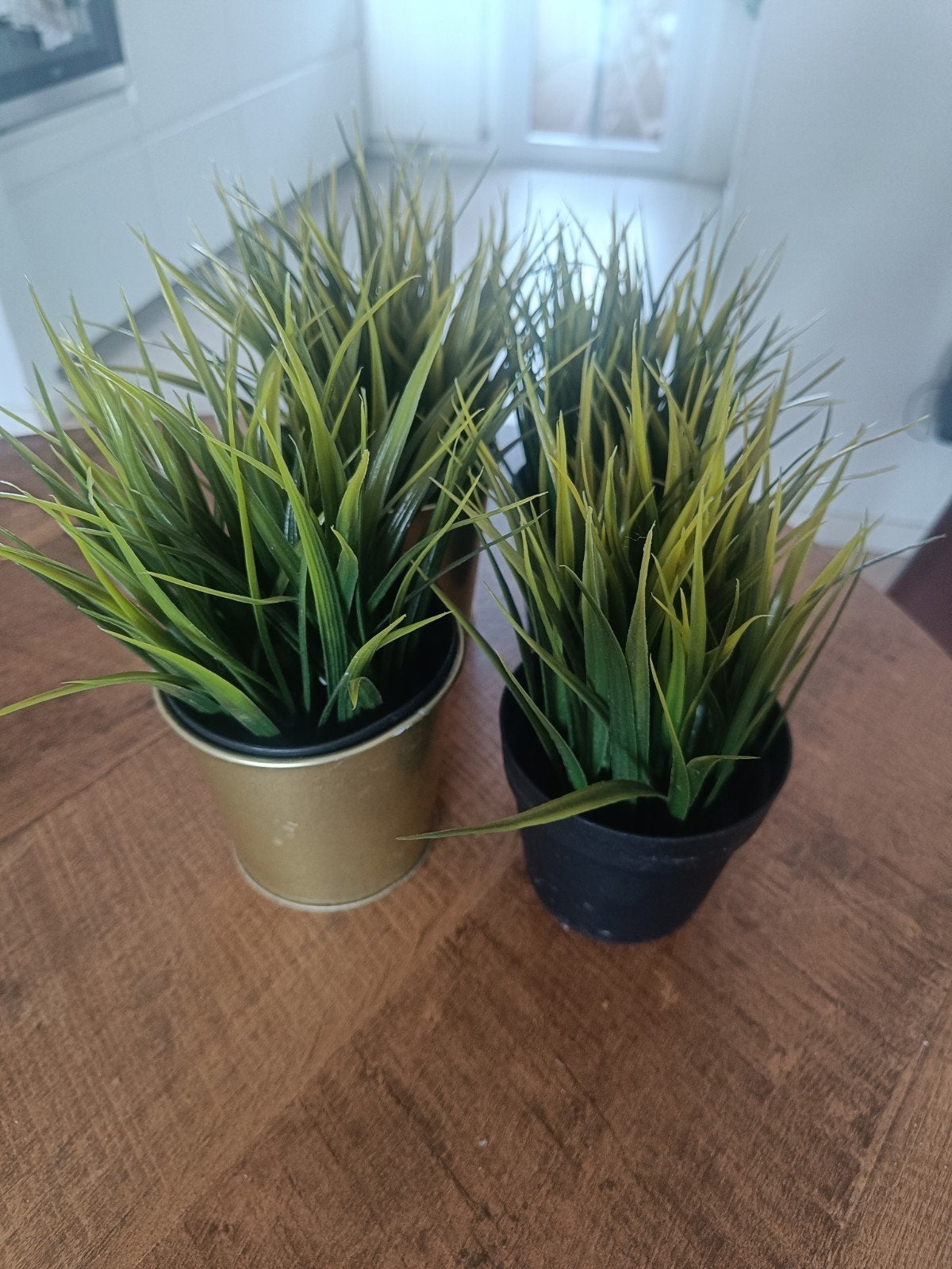 4 nepplantjes Ikea Fejka, Ophalen, Overige soorten, Minder dan 100 cm