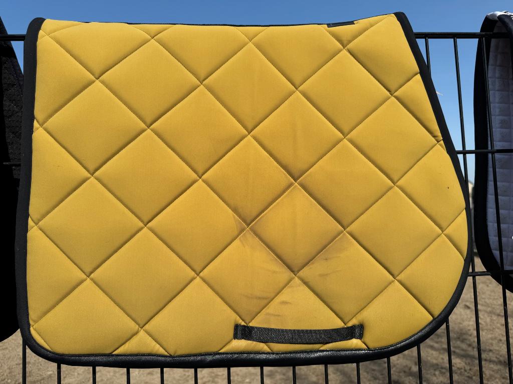 Cavalleria Toscana set, Dieren en Toebehoren, Ophalen of Verzenden, Zo goed als nieuw