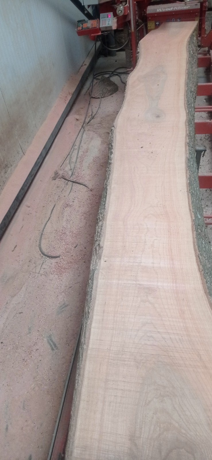 Boomstam planken es niet droog 60 breed 5 meter  lang 6 dik, Ophalen