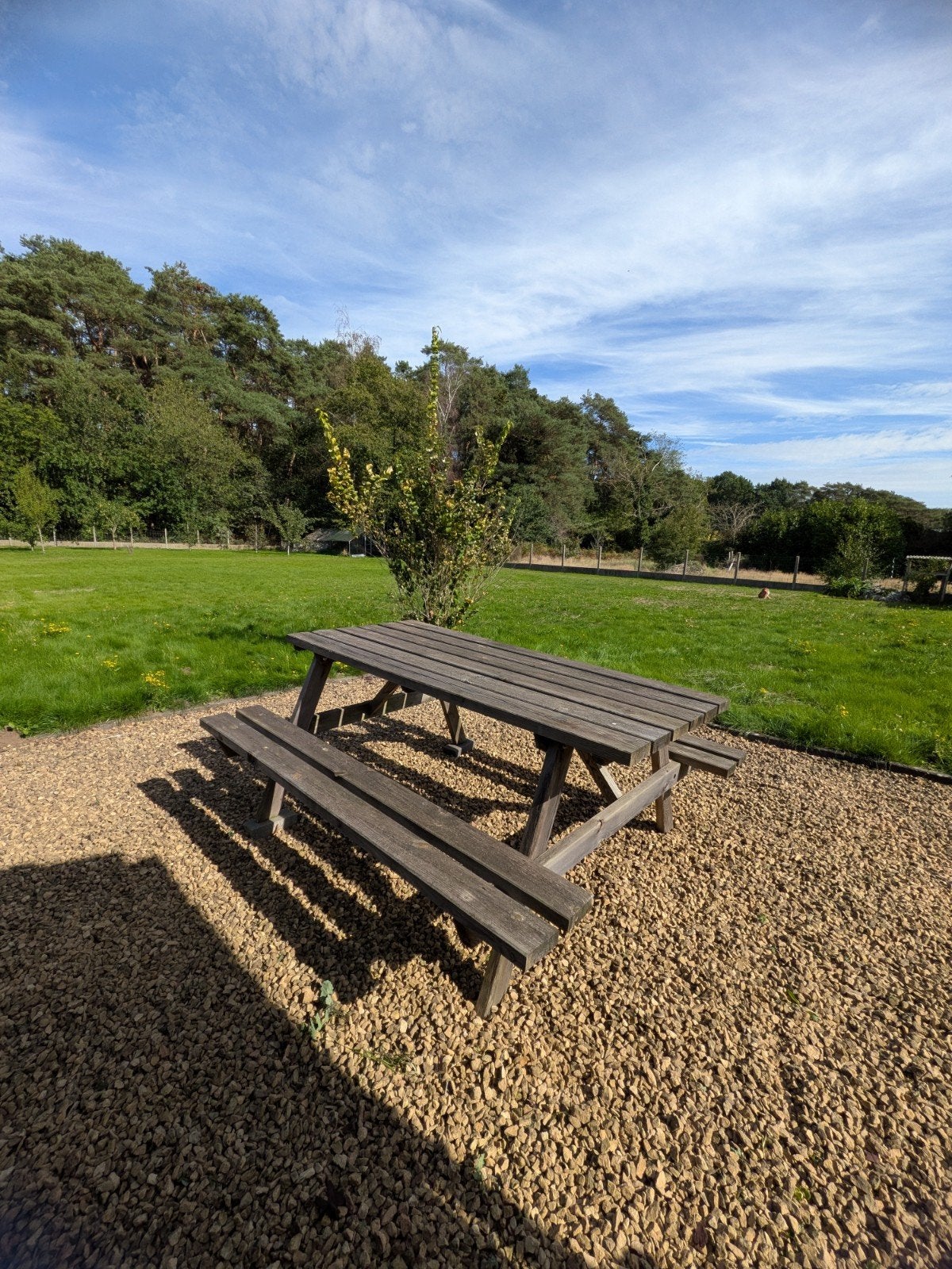 Picknicktafel, Tuin en Terras, Ophalen, Gebruikt, Rechthoekig, Hout